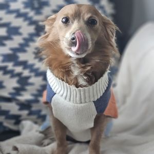 🖤3/$15 Sweater Weather Sweater, Size Large